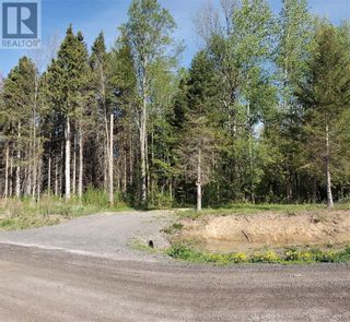 Photo 9: BYERS ROAD in Cardinal: Vacant Land for sale : MLS®# 1279167