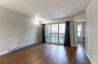 Photo 14: 509 9867 MANCHESTER Drive in Burnaby: Cariboo Condo for sale in "BARCLAY WOODS" (Burnaby North)  : MLS®# R2865204
