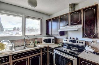 Photo 8: 5015 Whitehorn Drive NE in Calgary: Whitehorn Detached for sale : MLS®# A2131299