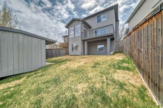 Photo 49: 161 Cranwell Bay SE in Calgary: Cranston Detached for sale : MLS®# A2129318