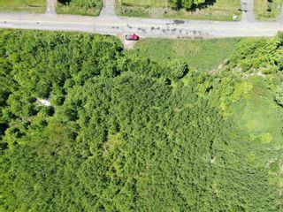 Photo 5: Reeves Road in Coalburn: 108-Rural Pictou County Vacant Land for sale (Northern Region)  : MLS®# 202130003