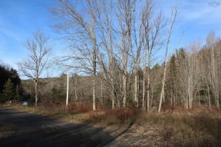 Photo 6: Lot 1 Power Lot Road in Clementsport: Annapolis County Vacant Land for sale (Annapolis Valley)  : MLS®# 202227444