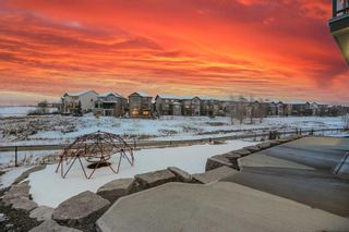 Photo 42: 38 Panton Bay NW in Calgary: Panorama Hills Detached for sale : MLS®# A2123882