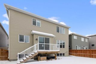 Photo 40: 40 Carrington Manor NW in Calgary: Carrington Detached for sale : MLS®# A2103703