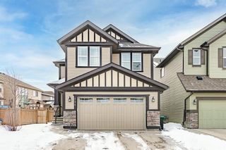 Photo 1: 254 Chaparral Valley Way SE in Calgary: Chaparral Detached for sale : MLS®# A1196005
