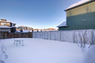 Photo 15: 82 EVANSDALE Common NW in Calgary: Evanston Detached for sale : MLS®# A1070660