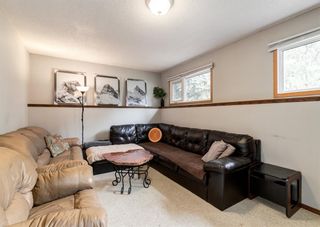 Photo 15: 1707 66 Avenue SE in Calgary: Ogden Detached for sale : MLS®# A1232423