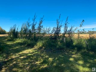 Photo 10: 19422 TWP Road 622 SW: Rural Thorhild County Vacant Lot/Land for sale : MLS®# E4314800