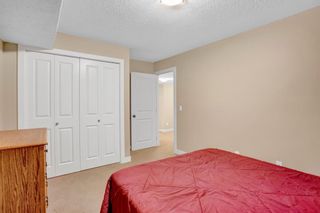 Photo 19: 221 Evanspark Circle NW in Calgary: Evanston Detached for sale : MLS®# A2020932