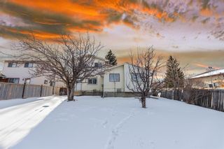 Photo 17: 28 Berkley Close NW in Calgary: Beddington Heights Semi Detached (Half Duplex) for sale : MLS®# A2103849