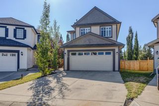Photo 45: 128 Copperfield Close SE in Calgary: Copperfield Detached for sale : MLS®# A1246134