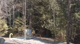 Photo 3: 40782 PERTH Drive in Squamish: Garibaldi Highlands Land for sale : MLS®# R2641258