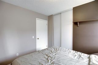 Photo 26: 47 INVERNESS Grove SE in Calgary: McKenzie Towne Detached for sale : MLS®# C4301288