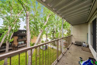 Photo 17: 412 3420 50 Street NW in Calgary: Varsity Apartment for sale : MLS®# A2053928
