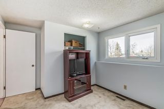 Photo 24: 3020 Rundleside Drive NE in Calgary: Rundle Detached for sale : MLS®# A2044879