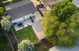 Photo 31: 10 Chornick Drive in Winnipeg: House for sale