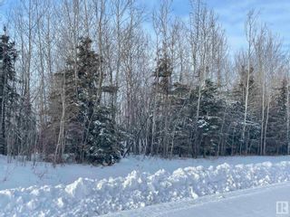 Photo 23: TWP RD 613A RGE RD 234: Rural Westlock County Rural Land/Vacant Lot for sale : MLS®# E4276161