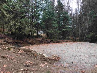 Photo 7: 2117 PORT MELLON Highway in Gibsons: Gibsons & Area Land for sale (Sunshine Coast)  : MLS®# R2674427