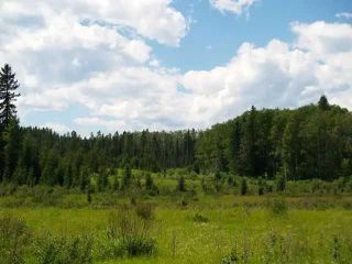 Photo 6: 345079 Range Road 6-5: Rural Clearwater County Residential Land for sale : MLS®# A2106152
