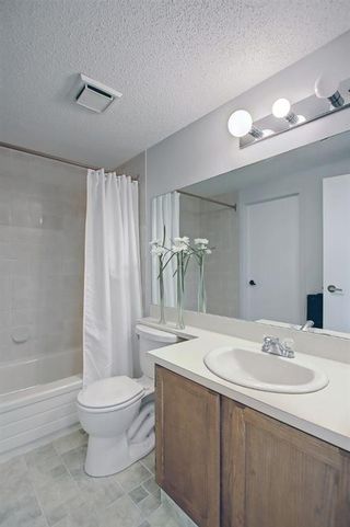 Photo 29: 143 Point Drive NW in Calgary: Point McKay Row/Townhouse for sale : MLS®# A1157621