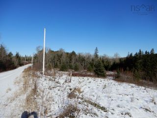 Photo 10: 15.5 acres Lairg Road in New Lairg: 108-Rural Pictou County Vacant Land for sale (Northern Region)  : MLS®# 202226624