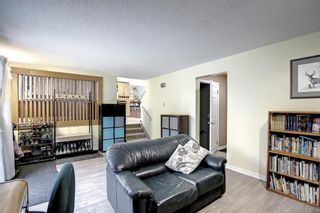 Photo 14: 28 Bedwood Road NE in Calgary: Beddington Heights Detached for sale : MLS®# A1211290