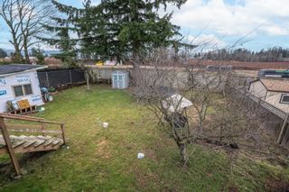 Photo 32: 32596 PANDORA Avenue in Abbotsford: Abbotsford West House for sale : MLS®# R2746761
