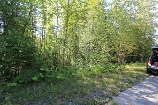 Photo 9: Lot 90 Birch Close: Land Only for sale : MLS®# 10071170