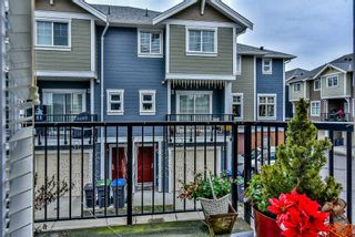 Photo 19: 3 1135 EWEN Avenue in New Westminster: Queensborough Townhouse for sale in "ENGLISH MEWS" : MLS®# R2133366
