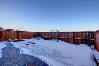 Photo 37: 149 Williamstown Park NW: Airdrie Detached for sale : MLS®# A2007088
