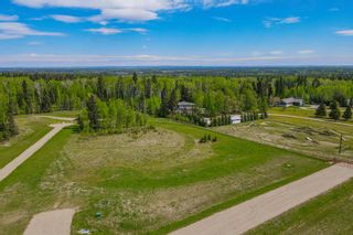 Photo 19: 101 Fox Ridge Boulevard: Rural Clearwater County Residential Land for sale : MLS®# A2001774