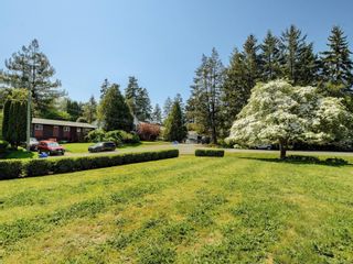 Photo 16: 3347 Dundonald Rd in Colwood: Co Wishart South House for sale : MLS®# 932089