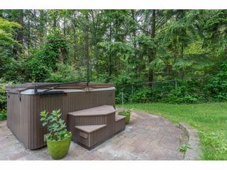 Photo 17: 1307 CAMELLIA Court in Port Moody: Mountain Meadows House for sale : MLS®# R2380794