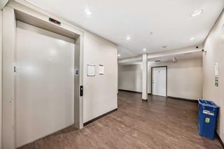 Photo 18: 1304 1140 Taradale Drive NE in Calgary: Taradale Apartment for sale : MLS®# A2117303