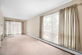 Photo 14: 103 6919 Elbow Drive SW in Calgary: Kelvin Grove Apartment for sale : MLS®# A2126763