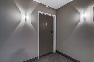 Photo 42: 10 301 Village Mews SW in Calgary: Patterson Apartment for sale : MLS®# A2099346