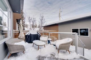 Photo 48: 522 37 Street SW in Calgary: Spruce Cliff Detached for sale : MLS®# A1069678