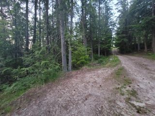 Photo 10: Lot 4 PROCTER EAST ROAD in Harrop: Vacant Land for sale : MLS®# 2472822