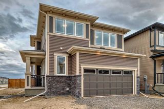 Photo 46: 563 Osborne Drive: Airdrie Detached for sale : MLS®# A2129284