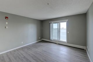 Photo 10: 319 290 Shawville Way SE in Calgary: Shawnessy Apartment for sale : MLS®# A2003821