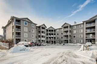 Photo 20: 1306 604 8 Street SW: Airdrie Apartment for sale : MLS®# A1066668