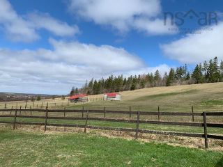 Photo 4: 479 Highway 236 in Scotch Village: Hants County Residential for sale (Annapolis Valley)  : MLS®# 202208229