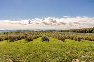 Photo 22: 10238 Highway 221 in Habitant: Kings County Vacant Land for sale (Annapolis Valley)  : MLS®# 202221227