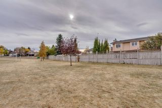 Photo 43: 16 Douglas Woods View SE in Calgary: Douglasdale/Glen Detached for sale : MLS®# A1041640