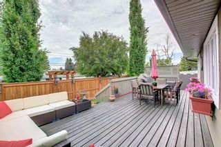 Photo 39: 7816 7 Street SW in Calgary: Kingsland Detached for sale : MLS®# A2125201