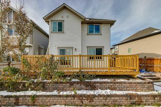 Photo 38: 203 Cranarch Terrace SE in Calgary: Cranston Detached for sale : MLS®# A2091027