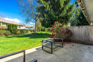 Photo 34: 31 9045 WALNUT GROVE Drive in Langley: Walnut Grove Townhouse for sale in "BRIDLEWOODS" : MLS®# R2874639