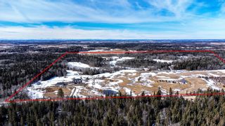Photo 47: 34446 Rge Rd 21: Rural Red Deer County Detached for sale : MLS®# A2017829