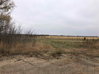Photo 24: TWP RD 583 Range Rd 271: Rural Westlock County Rural Land/Vacant Lot for sale : MLS®# E4218433