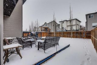 Photo 31: 2834 Chinook Winds Drive SW: Airdrie Detached for sale : MLS®# A2117036